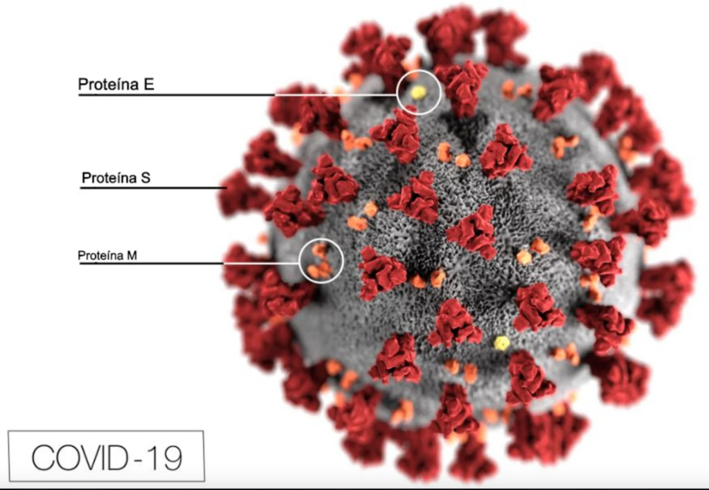 20 reflexiones sobre captación de fondos en tiempos de coronavirus: innova, contacta, explica y pide, busca alianzas y aprende coronavirus