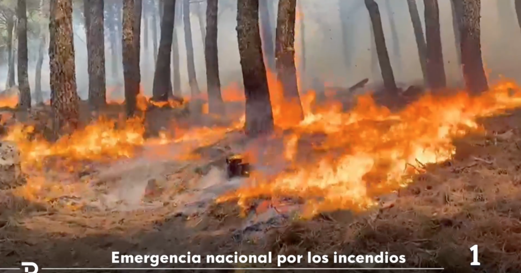 #National Trust ya capta fondos para los incendios en UK: nuevas emergencias incendis